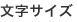 文字サイズ